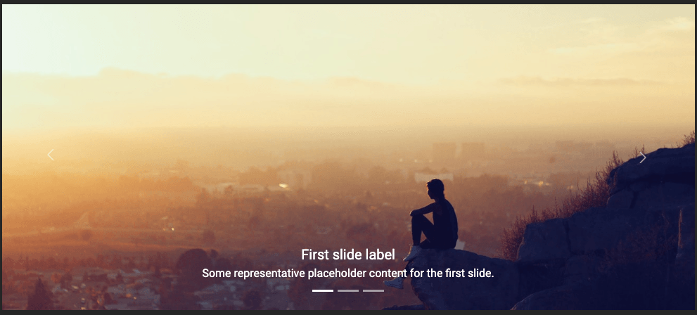 default concept on a Carousel component in Tailwind Elements.
